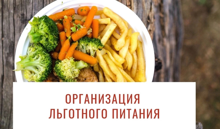Организация льготного питания.